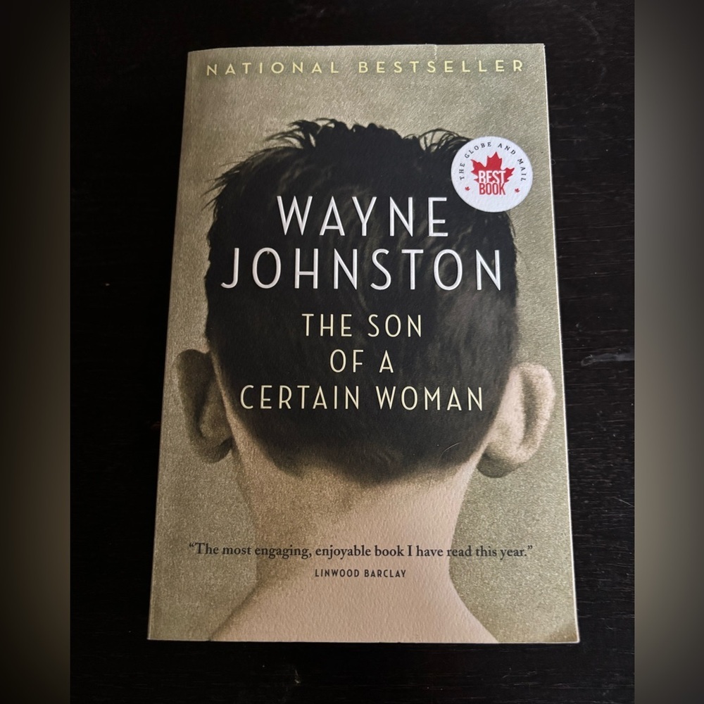 3/$20 The Son of a Certain Woman paperback Book
